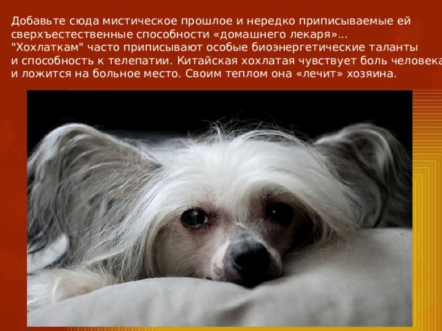 Добавьте сюда мистическое прошлое и нередко приписываемые ей сверхъестественные способности «домашнего лекаря»... 
