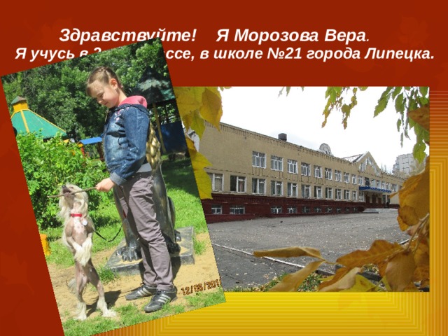 Здравствуйте! Я Морозова Вера .  Я учусь в 3 «В» классе, в школе №21 города Липецка. 