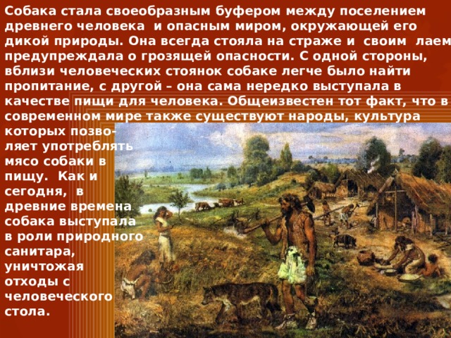 Собака стала своеобразным буфером между поселением древнего человека  и опасным миром, окружающей его дикой природы. Она всегда стояла на страже и  своим  лаем предупреждала о грозящей опасности. С одной стороны, вблизи человеческих стоянок собаке легче было найти пропитание, с другой – она сама нередко выступала в качестве пищи для человека. Общеизвестен тот факт, что в современном мире также существуют народы, культура которых позво- ляет употреблять мясо собаки в пищу. Как и сегодня, в древние времена собака выступала в роли природного санитара, уничтожая отходы с человеческого стола. 