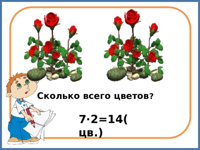 Сколько  всего цветов ? 7·2=14(цв.) 
