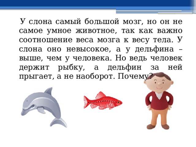  У слона самый большой мозг, но он не самое умное животное, так как важно соотношение веса мозга к весу тела. У слона оно невысокое, а у дельфина – выше, чем у человека. Но ведь человек держит рыбку, а дельфин за ней прыгает, а не наоборот. Почему? 