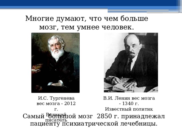 Многие думают, что чем больше мозг, тем умнее человек. И.С. Тургенева вес мозга - 2012 г. В.И. Ленин вес мозга - 1340 г. Великий писатель Известный политик Самый большой мозг 2850 г. принадлежал пациенту психиатрической лечебницы. 