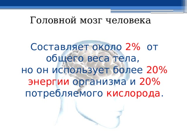 Головной мозг человека  Составляет около 2% от общего веса тела,  но он использует более 20% энергии организма и 20% потребляемого кислорода .   