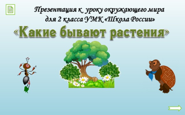 Презентация какие бывают растения 2 класс школа россии окружающий мир