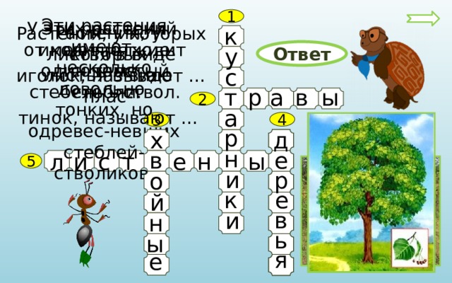 1 Эти растения имеют несколько довольно тонких, но одревес-невших стеблей- стволиков. Эти растения имеют мягкие сочные У этих растений  стебли. от корня отходит один толстый стебель – ствол. Растения, у которых листья в виде плас- тинок, называют … Растения, у которых листья в виде иголок, называют … к у Ответ с а ы в т р 2 а 4 3 р х д н е в и с е н ы т л 5 и р о е к й в и н ь ы я е 