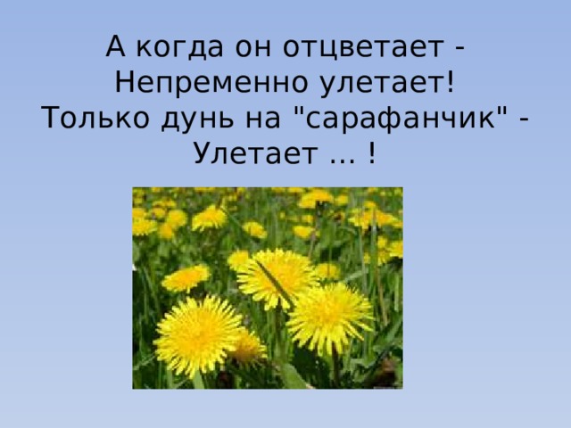 А когда он отцветает -  Непременно улетает!  Только дунь на 