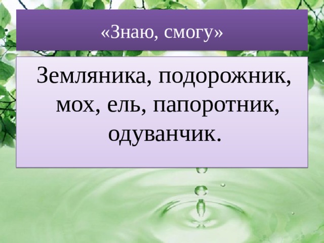 «Знаю, смогу»  Земляника, подорожник, мох, ель, папоротник, одуванчик. 