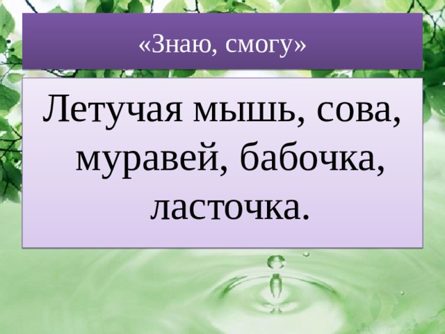 «Знаю, смогу» Летучая мышь, сова, муравей, бабочка, ласточка. 