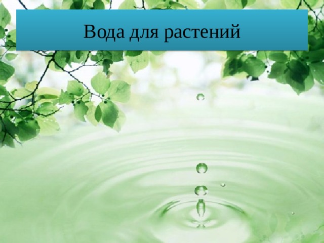 Вода для растений 