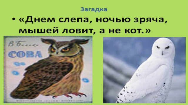 Презентация в бианки сова 2 класс школа россии презентация