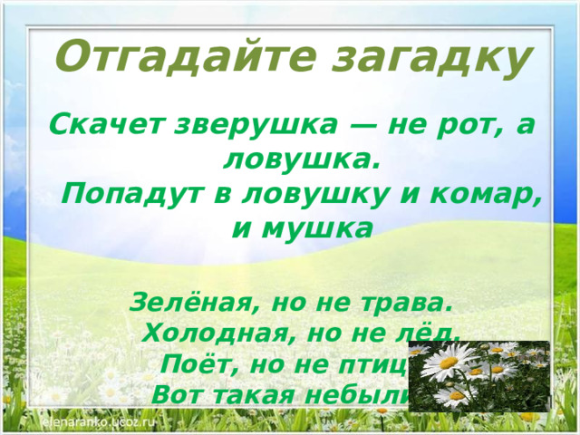 Пшеница овес подсолнух кукуруза все уже созрело и требовало хозяйских хлопот схема предложения