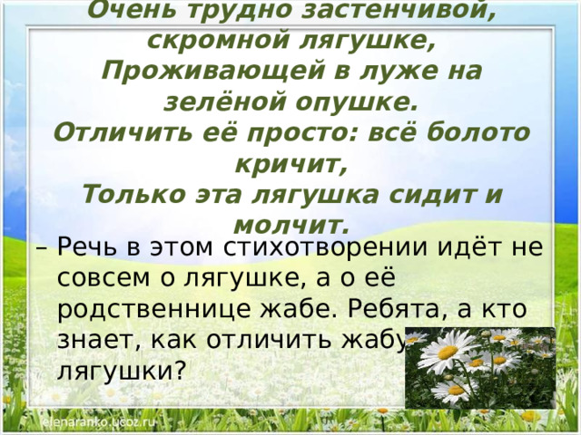 Жизнь земноводных весной 1 класс 21 век конспект урока с презентацией