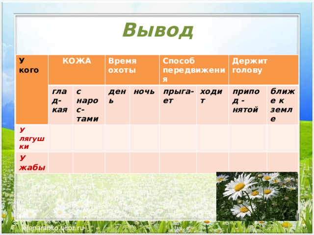 Жизнь земноводных весной 1 класс 21 век конспект урока с презентацией