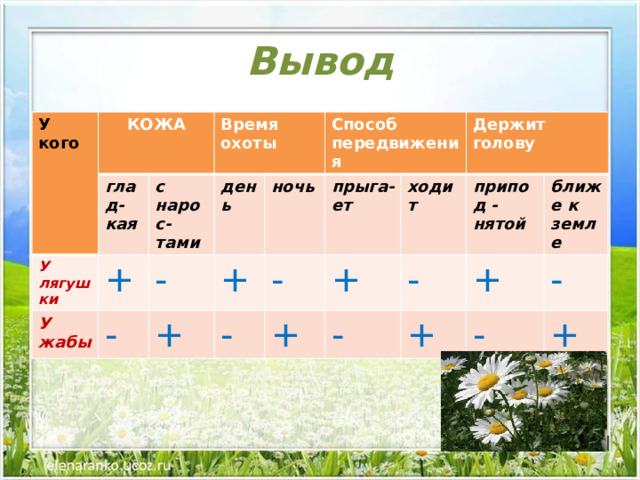 Жизнь земноводных весной 1 класс 21 век конспект урока с презентацией