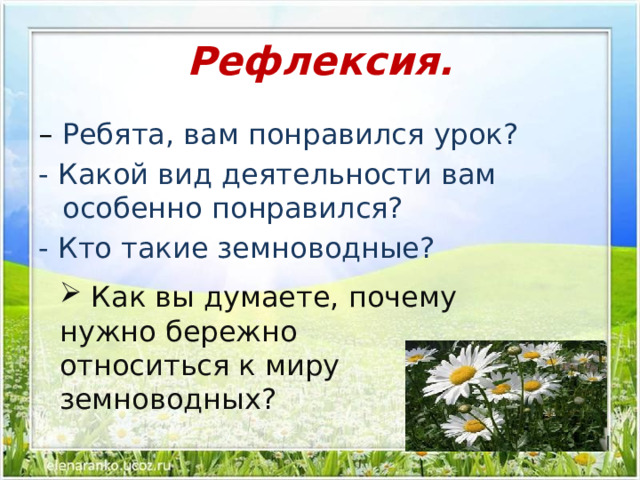 Жизнь земноводных весной презентация 1 класс 21 век презентация