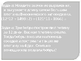 Три бобра построили плотину за 12 дней