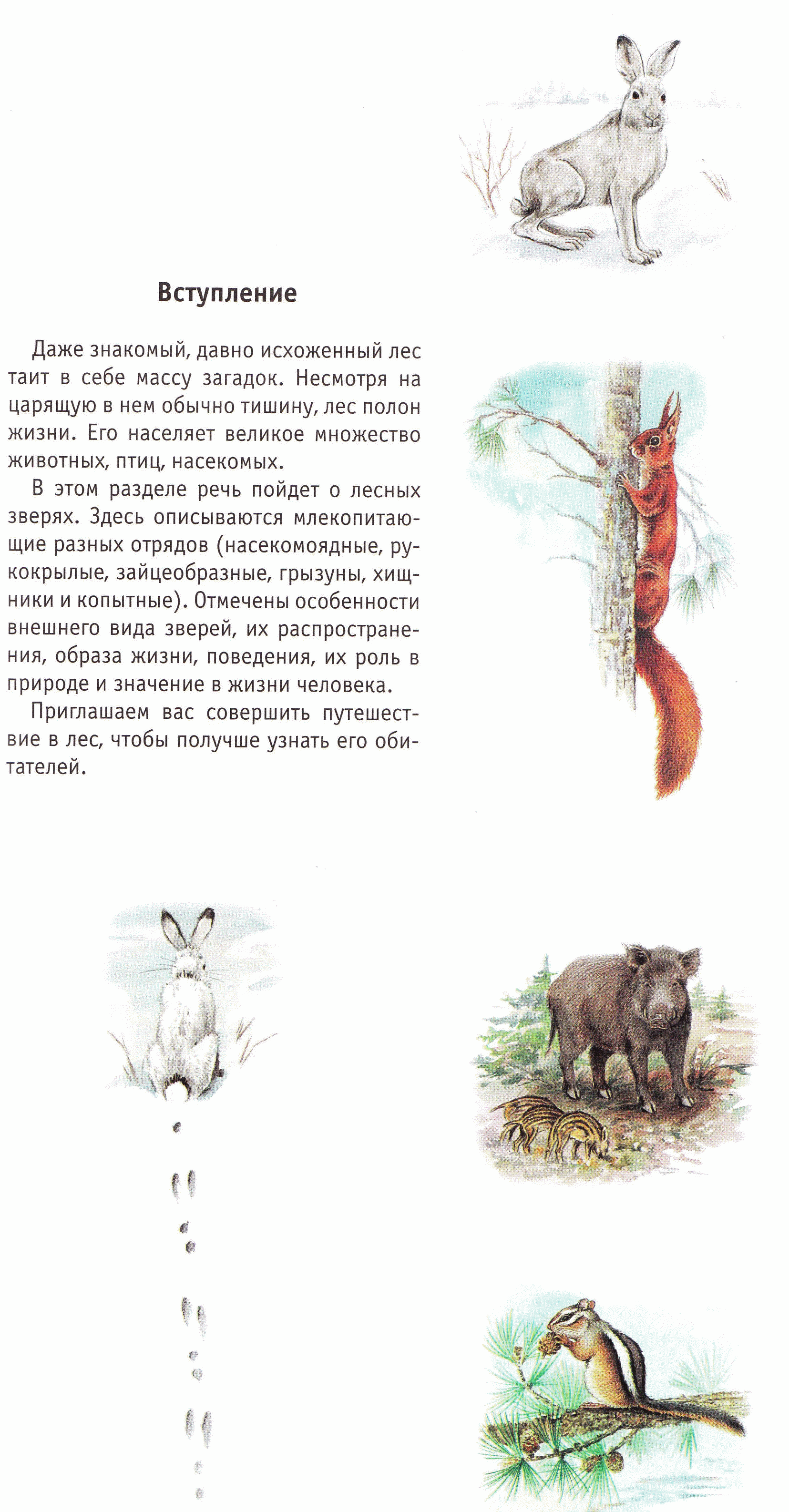 Сборник по экологической культуре младших школьников