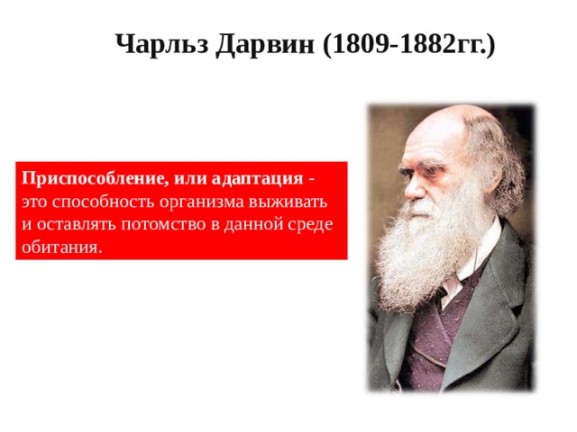 Чарльз Дарвин (1809-1882гг.) Приспособление, или адаптация  - это способность организма выживать и оставлять потомство в данной среде обитания. 