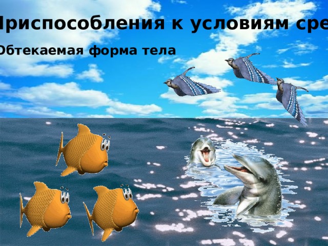 2. Приспособления к условиям среды Обтекаемая форма тела 