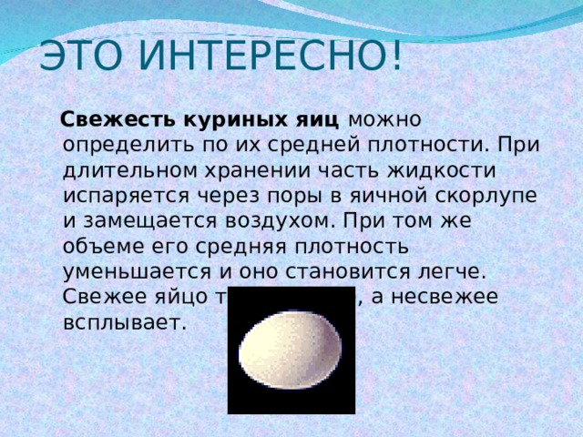 Вопрос про яйца. Факты о яйцах куриных. Интересные факты о плотности. Интересные факты о яйцах. Интересные яйца.