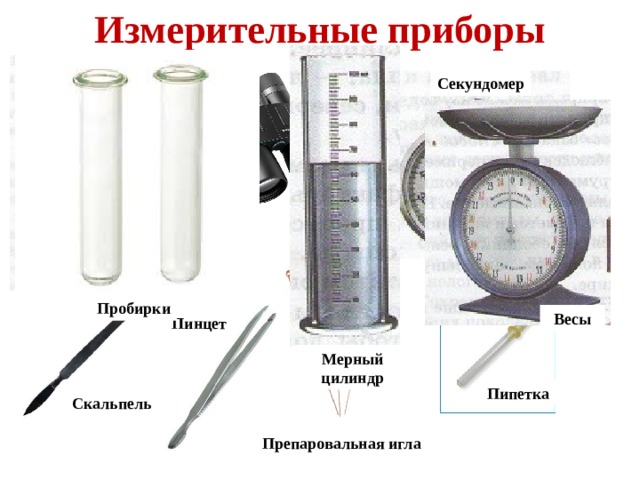 Рассмотри рисунок и выбери правильный ответ данный измерительный прибор