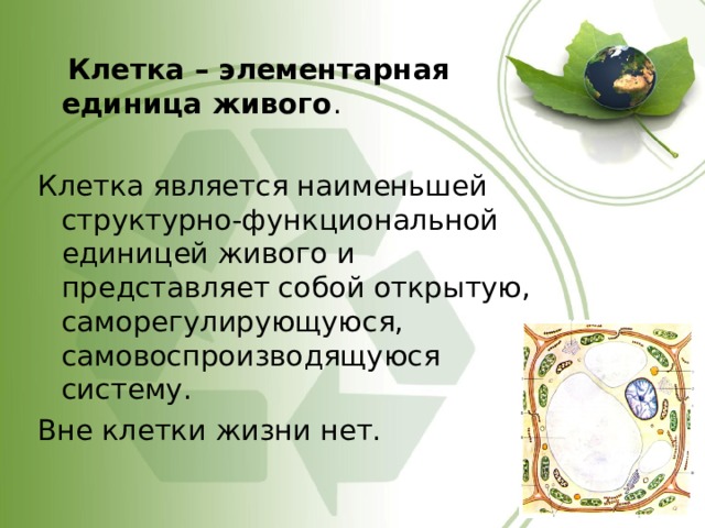  Клетка – элементарная единица живого . Клетка является наименьшей структурно-функциональной единицей живого и представляет собой открытую, саморегулирующуюся, самовоспроизводящуюся систему. Вне клетки жизни нет. 