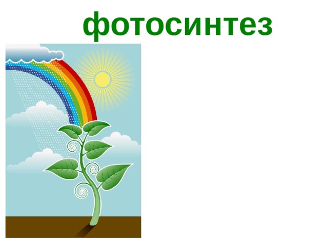 Презентация на тему фотосинтез 6 класс по биологии