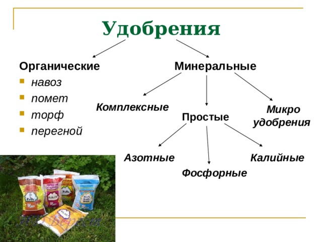 Удобрения Органические Минеральные навоз помет торф перегной  Комплексные  Микро  удобрения  Простые Калийные  Азотные  Фосфорные  