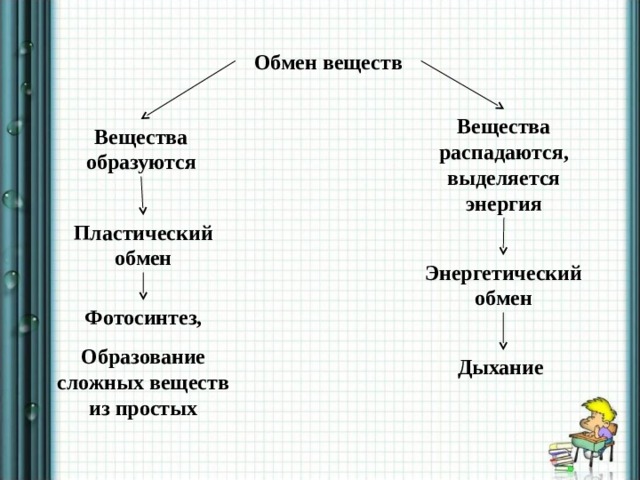 Обмен веществ урок биологии 6 класс. Обмен веществ. Пластический энергетический обмен фотосинтез. Выделение обмен веществ.