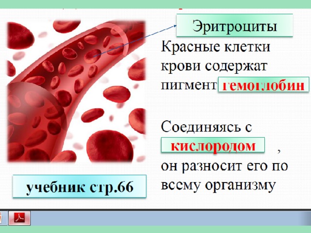 Красное предложение. Дополните предложение красные клетки крови содержат пигмент. Клетки крови содержащие гемоглобин. Гемоглобин пигмент. Красные клетки крови содержат пигмент называемый.