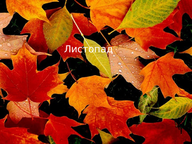 Листопад 