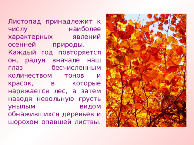 Листопад принадлежит к числу наиболее характерных явлений осенней природы. Каждый год повторяется он, радуя вначале наш глаз бесчисленным количеством тонов и красок, в которые наряжается лес, а затем наводя невольную грусть унылым видом обнажившихся деревьев и шорохом опавшей листвы. 