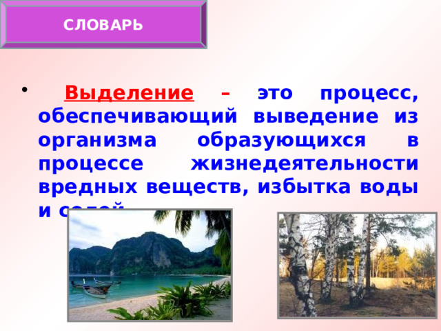 СЛОВАРЬ  Выделение – это процесс, обеспечивающий выведение из организма образующихся в процессе жизнедеятельности вредных веществ, избытка воды и солей. 