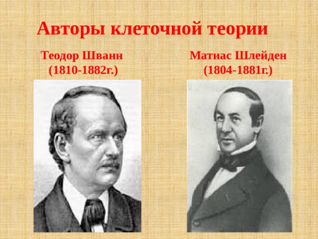 Авторы клеточной теории    Теодор Шванн Матиас Шлейден (1810-1882г.) (1804-1881г.) 