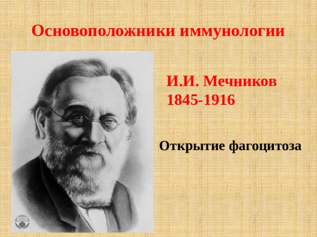 Основоположники иммунологии И.И.  Мечников 1845-1916 Открытие фагоцитоза 