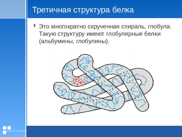 Третичная структура белка Это многократно скрученная спираль, глобула. Такую структуру имеют глобулярные белки (альбумины, глобулины). 