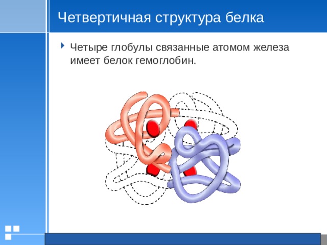 Четвертичная структура белка Четыре глобулы связанные атомом железа имеет белок гемоглобин. 