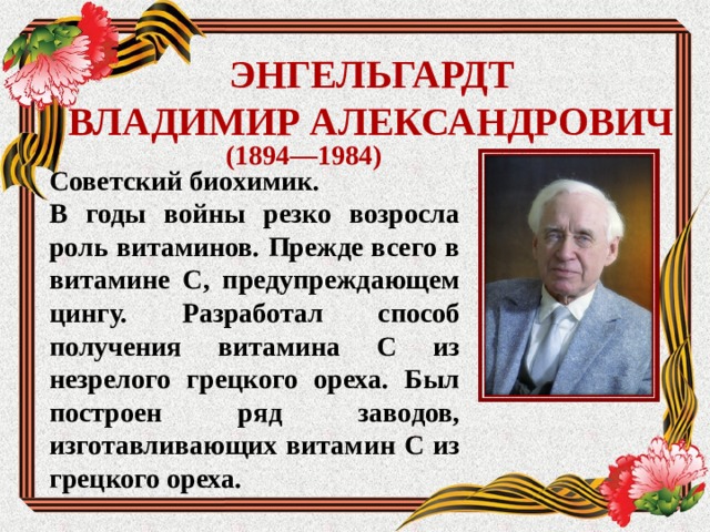 ЭНГЕЛЬГАРДТ  ВЛАДИМИР АЛЕКСАНДРОВИЧ (1894—1984) Советский биохимик. В годы войны резко возросла роль витаминов. Прежде всего в витамине С, предупреждающем цингу. Разработал способ получения витамина С из незрелого грецкого ореха. Был построен ряд заводов, изготавливающих витамин С из грецкого ореха.  