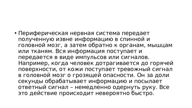 Периферическая нервная система передает полученную извне информацию в спинной и головной мозг, а затем обратно к органам, мышцам или тканям. Вся информация поступает и передается в виде импульсов или сигналов. Например, когда человек дотрагивается до горячей поверхности, от кожи поступает тревожный сигнал в головной мозг о грозящей опасности. Он за доли секунды обрабатывает информацию и посылает ответный сигнал – немедленно одернуть руку. Все это действие происходит невероятно быстро. 