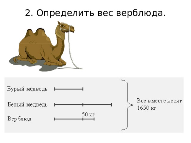 2. Определить вес верблюда.   