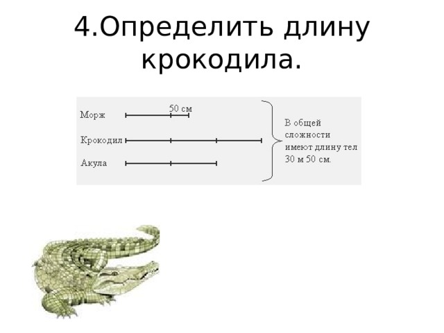 4.Определить длину крокодила. 