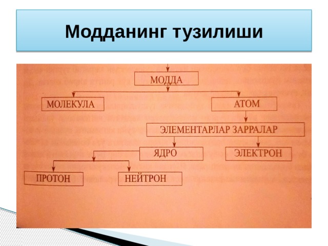 Модданинг тузилиши 