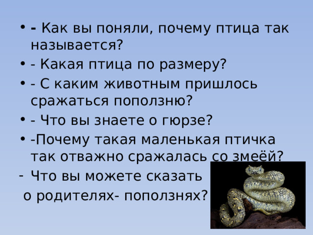 Вверх как звали птицу. Почему птиц называют. Почему птиц называют пернатыми. Почему мы называем птиц пернатыми друзьями. Почему птиц называют.