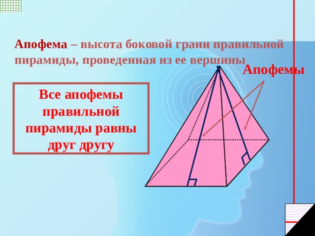 Апофема  – высота боковой грани правильной пирамиды, проведенная из ее вершины Апофемы Все апофемы правильной пирамиды равны друг другу 