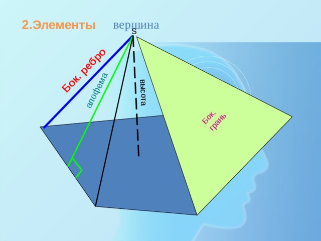 высота апофема Бок. грань Бок. ребро вершина 2.Элементы S 