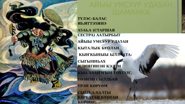 Айыы умсуур уда5ан  шаманка ТҮлэс-балас иһиттэ5инэ а5аһа (старшая сестра) аатырбыт Айыы умсуур уда5ан Кыталык буолан  кыҤкыныы ыллаата: Сыгынньах илиигинэн кэлэн Кыа хааҤҤын тохтуҤ, ҮӨэнэн сылдьан Үрэн кӨрҮӨм Сыыһа-халты харбатан куотан кӨрӨӨр ! 