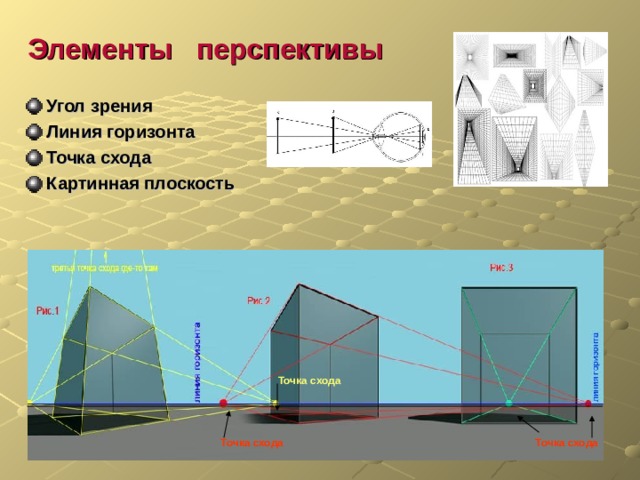 Плоскость горизонта. Элементы перспективы. Картинная плоскость в перспективе. Линия горизонта в перспективе. Картинная плоскость линия горизонта.