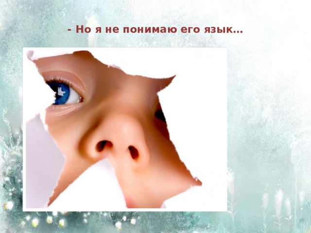 - Но я не понимаю его язык… 