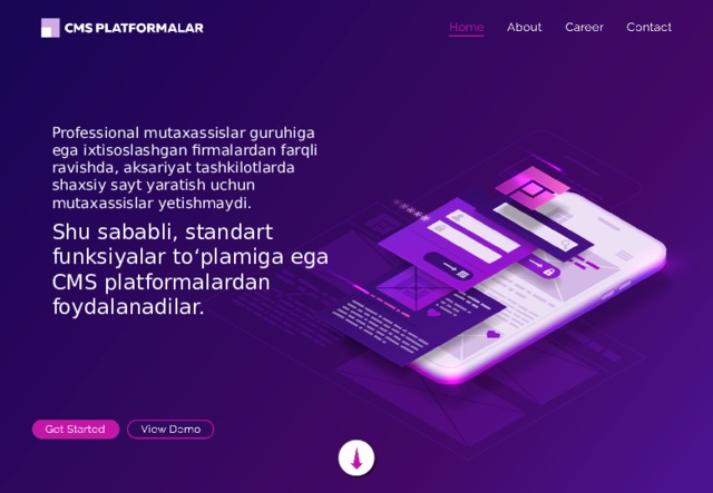 Professional mutaxassislar guruhiga ega ixtisoslashgan firmalardan farqli ravishda, aksariyat tashkilotlarda shaxsiy sayt yaratish uchun mutaxassislar yetishmaydi. Shu sababli, standart funksiyalar to‘plamiga ega CMS platformalardan foydalanadilar. 