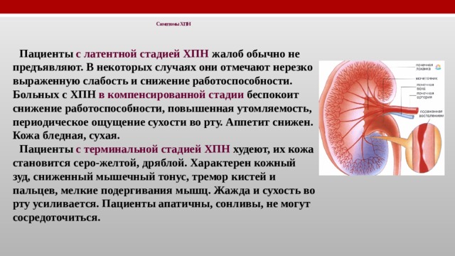 Симптомы ХПН   Пациенты с латентной стадией ХПН жалоб обычно не предъявляют. В некоторых случаях они отмечают нерезко выраженную слабость и снижение работоспособности. Больных с ХПН в компенсированной стадии беспокоит снижение работоспособности, повышенная утомляемость, периодическое ощущение сухости во рту. Аппетит снижен. Кожа бледная, сухая. Пациенты с терминальной стадией ХПН худеют, их кожа становится серо-желтой, дряблой. Характерен кожный зуд, сниженный мышечный тонус, тремор кистей и пальцев, мелкие подергивания мышц. Жажда и сухость во рту усиливается. Пациенты апатичны, сонливы, не могут сосредоточиться.  